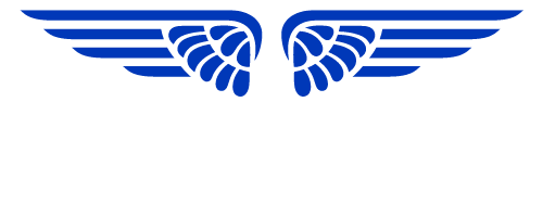 Platinum Aviation Logo